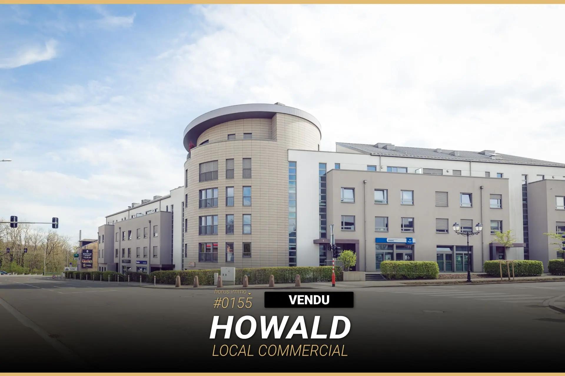 Locaux à Howald 3